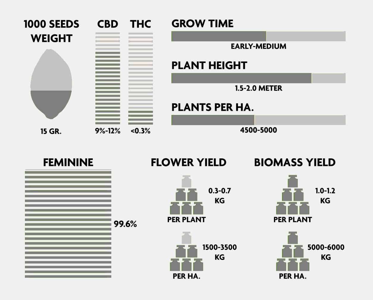 CBD-planta - Nordväst