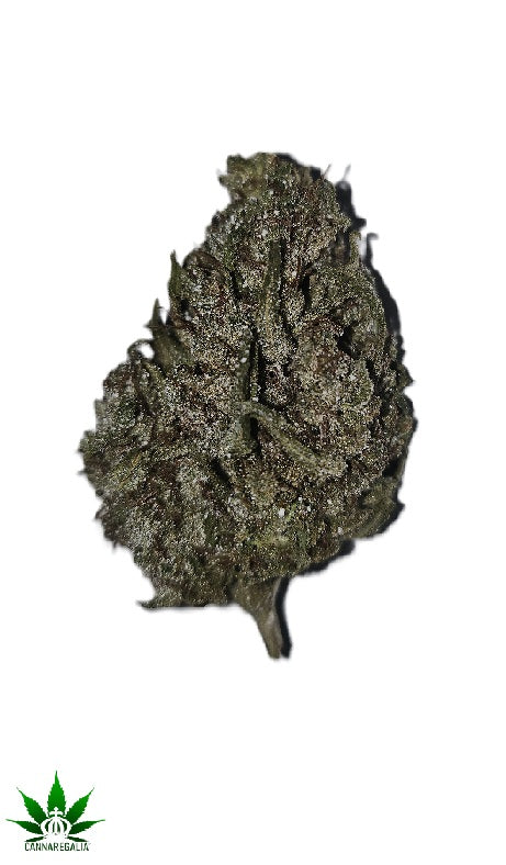 Alien-Tech 19% THC-A potpourri