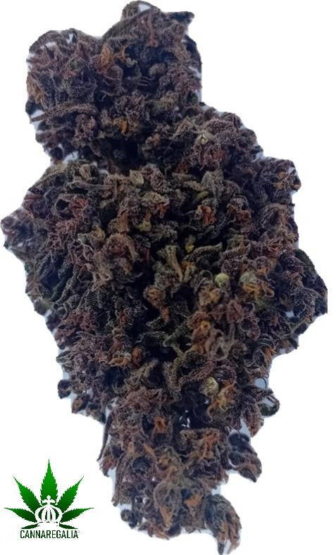 CBD buds - Purple wreck 18-21%