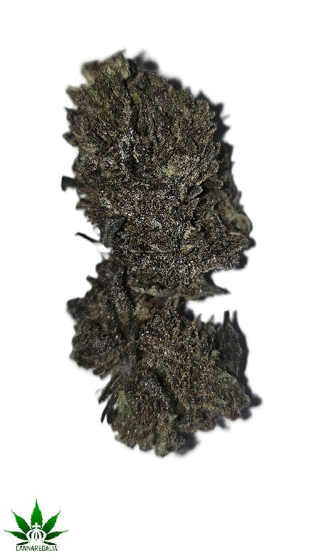 Purple Snow 14% THC-A POTPURRY